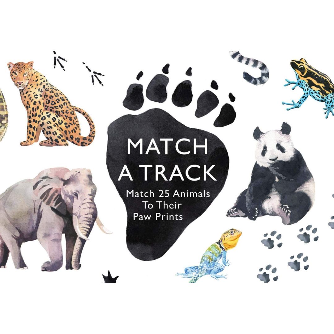 Animal Matching Game