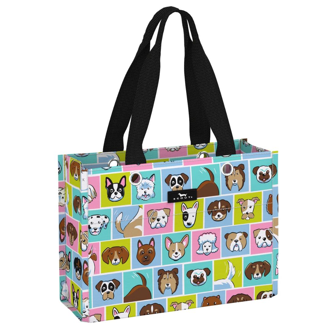 Scout Gift Bag X-Small