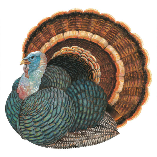Hester & Cook Turkey Die Cut Placemats