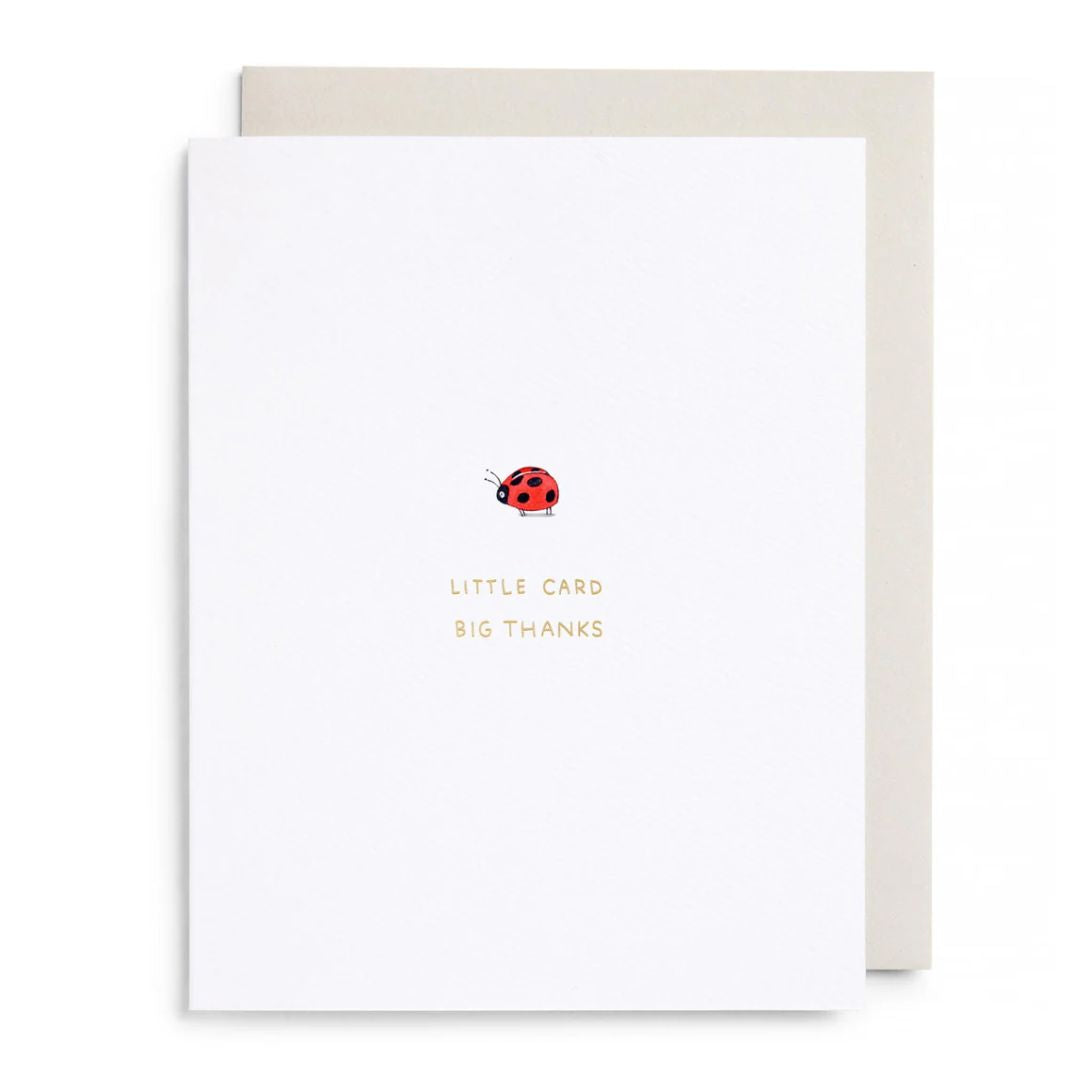 E Frances Boxed Card Set