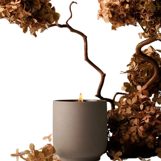 Homecourt Signature Ceramic Candle
