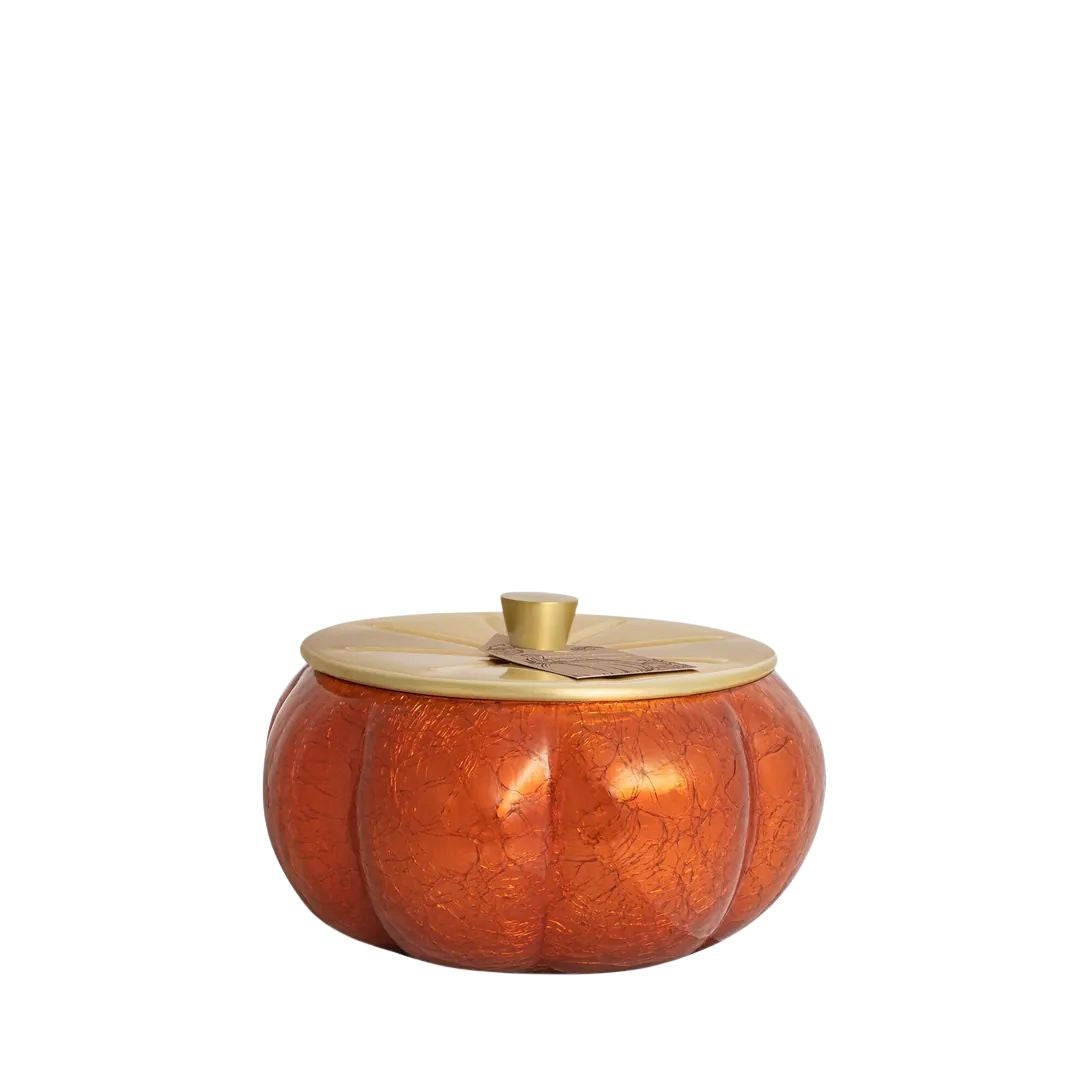Pumpkin Laurel Scent