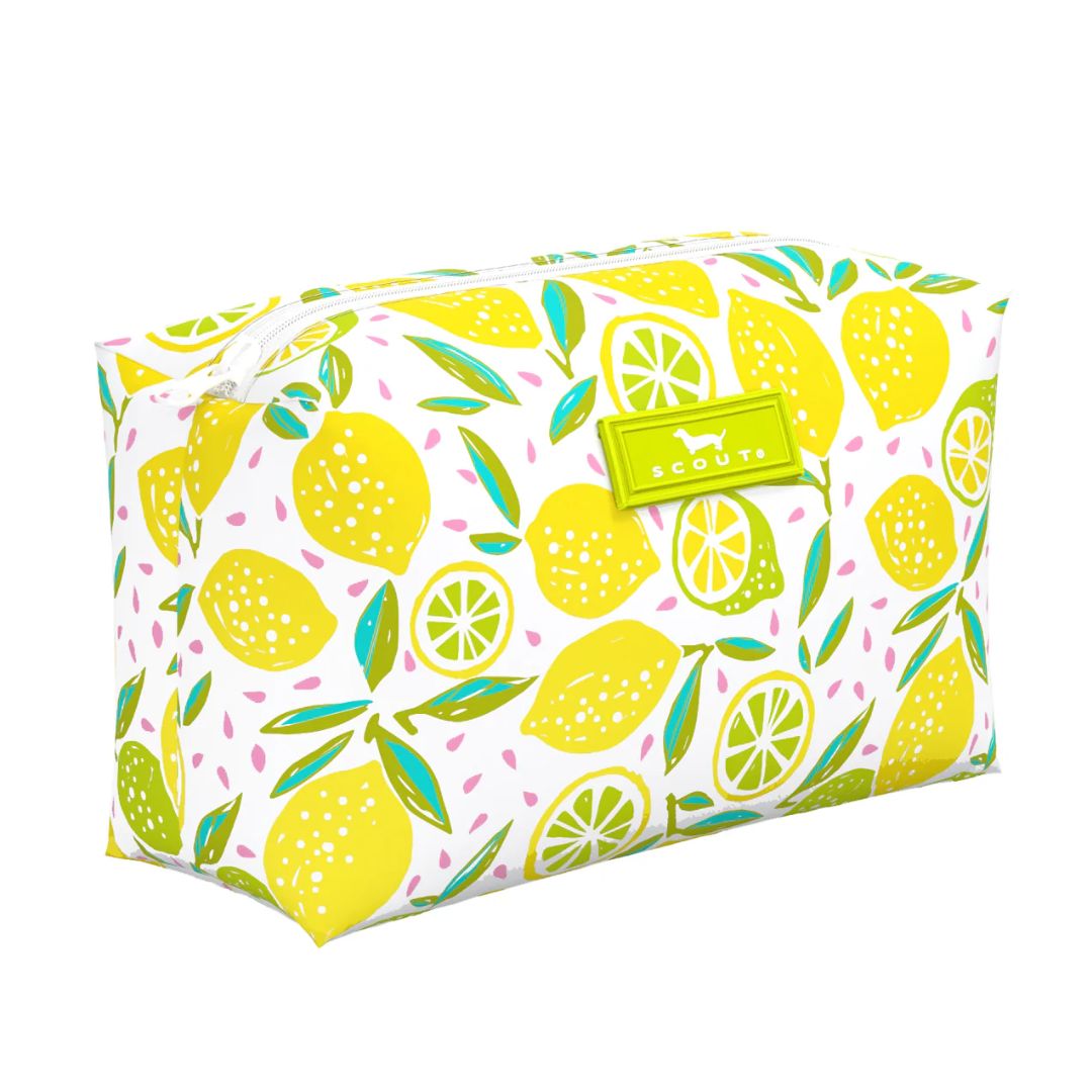 Scout Tiny Treasures Pouch