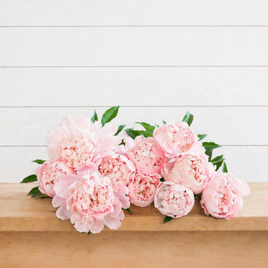 dottie jean's flower truck: peony moment bouquet