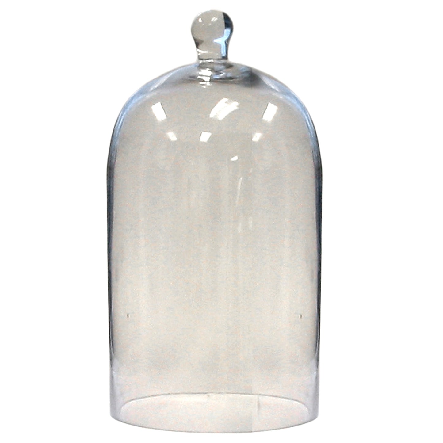 HomArt Medium Glass Dome