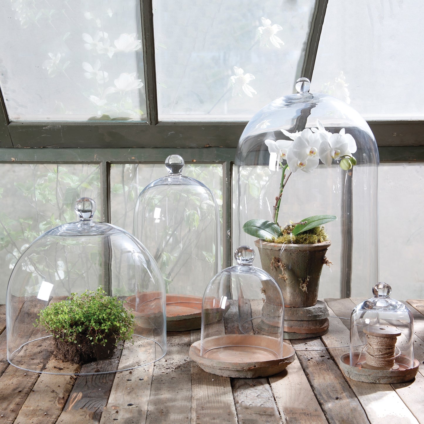 HomArt Medium Glass Dome