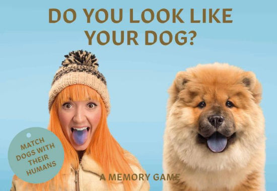 Animal Matching Game